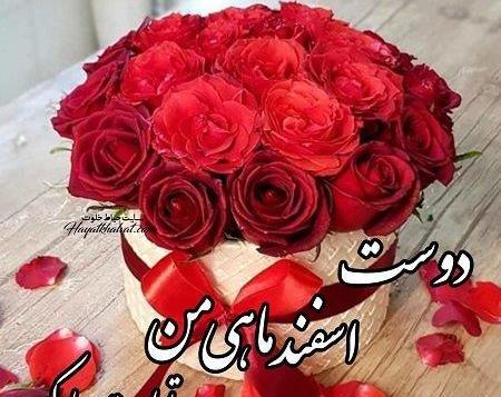 عکس تبریک تولد به دوست اسفند ماهی