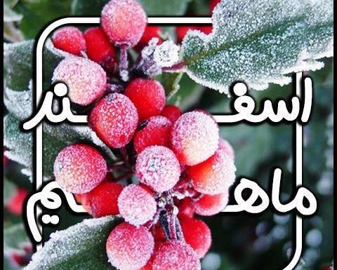 عکس تبریک تولد به دوست اسفند ماهی