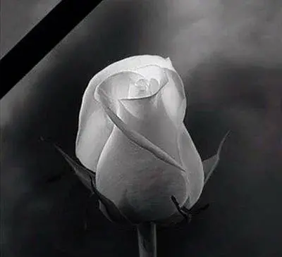 عکس کیک تولد برای برادر فوت شده