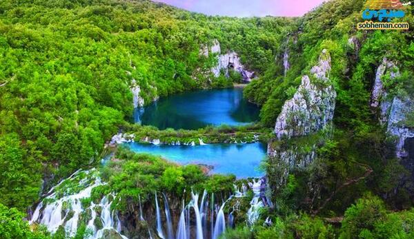 عکس زیباترین جنگل دنیا