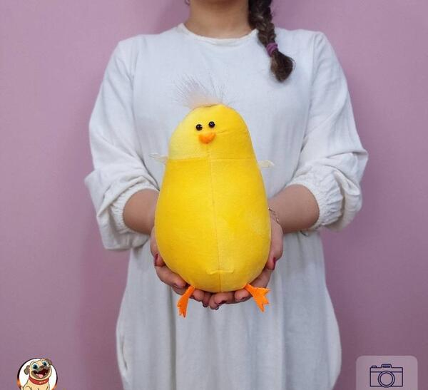 عکس جوجه رنگی بزرگ