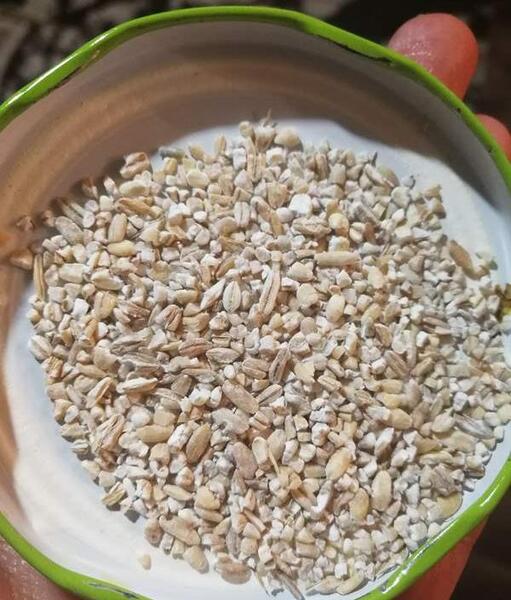 تفاوت عکس بلغور جو و گندم