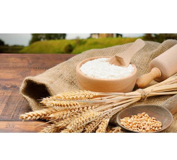 عکس از بلغور جو