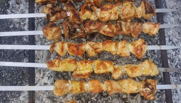 عکس غذای جوجه