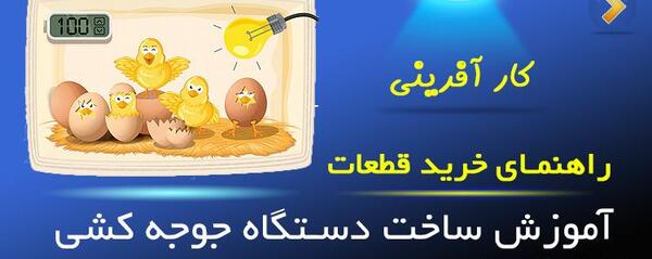 عکس جوجه فان