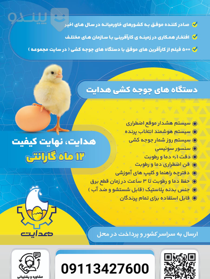 عکس جوجه فان