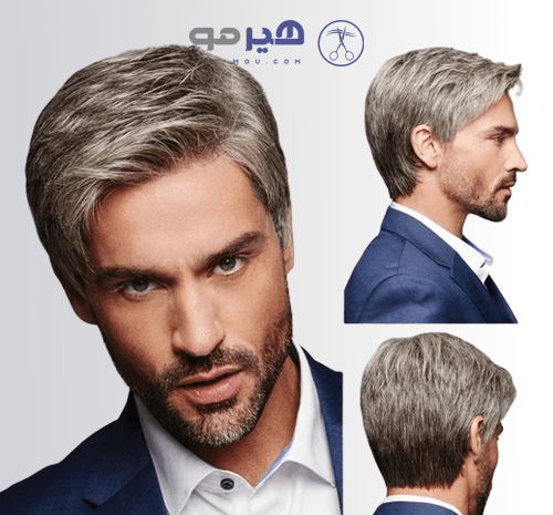 عکس جو گندمی