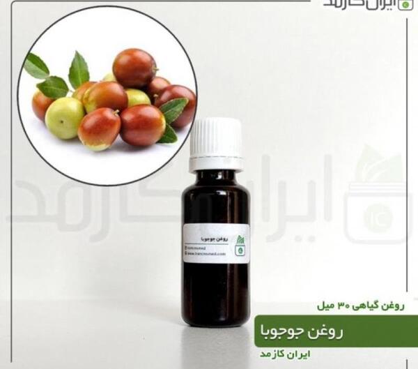 عکس گیاه جوجوبا