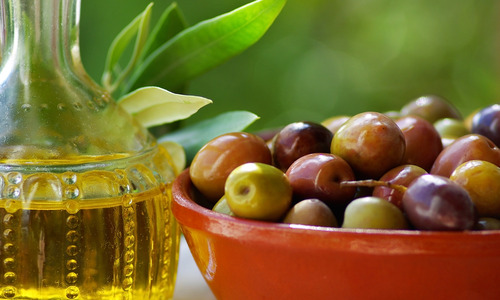 عکس گیاه جوجوبا