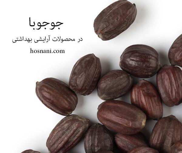 عکس گیاه جوجوبا