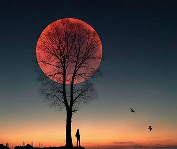 عکس های جالب و قشنگ برای پروفایل