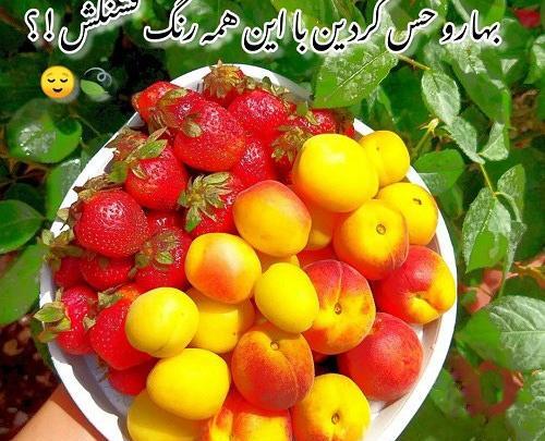 عکس های جالب از میوه ها