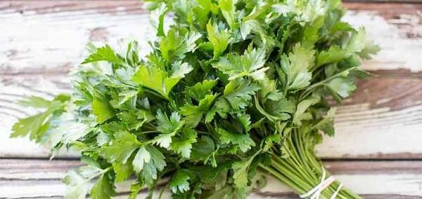عکس هایی از سبزی جعفری