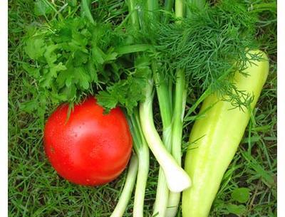 عکس هایی از سبزی جعفری