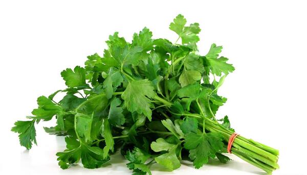 عکس هایی از سبزی جعفری