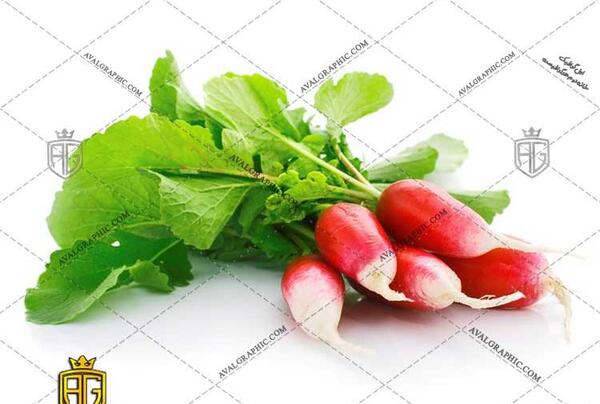 عکس هایی از سبزی جعفری