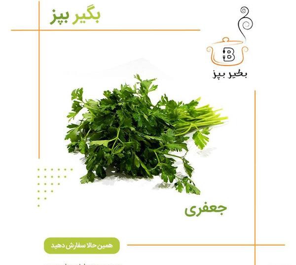 عکس های گیاه جعفری