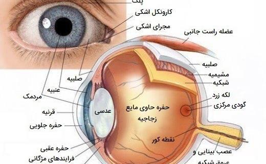 عکس چشم انسان با کیفیت بالا