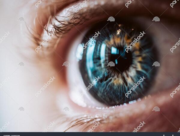 عکس چشم انسان زیبا