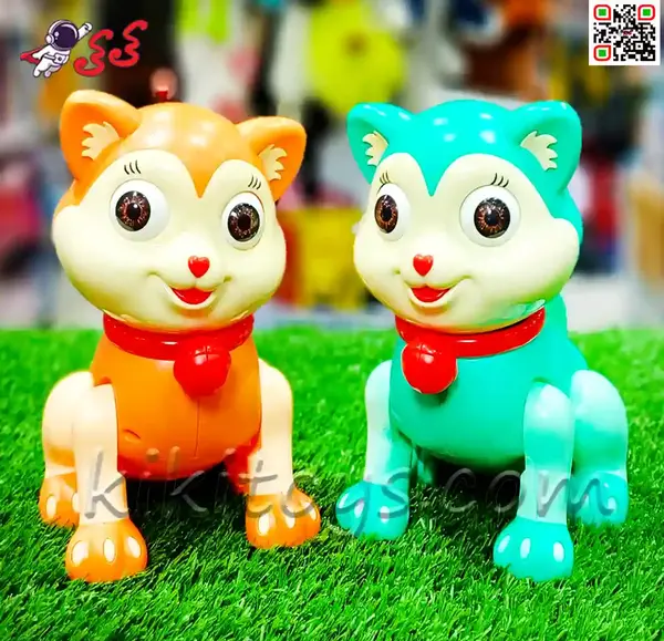 عکس گربه چشم تیله ای