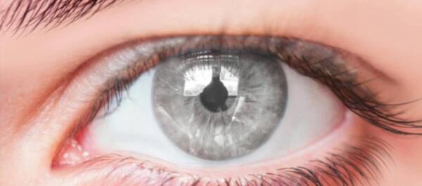 عکس چشم طوسی خاکستری