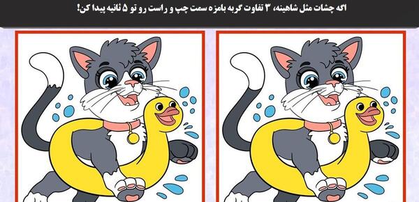 عکس گربه چشم چپ
