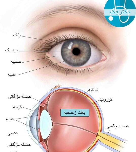 عکس چشم نشانه چیست