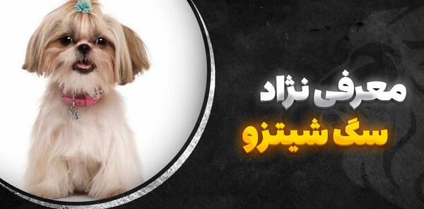 عکس چشم های سگ دار