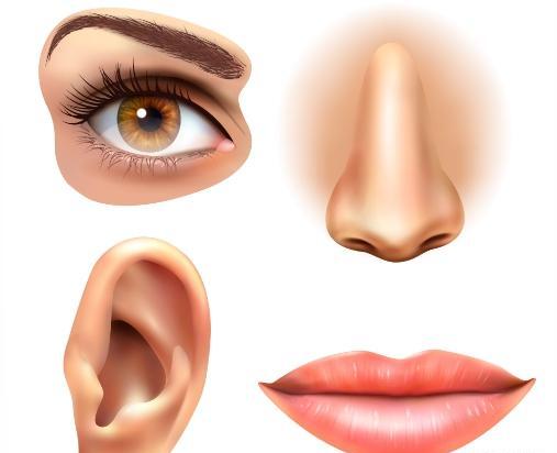 عکس طراحی چشم و لب