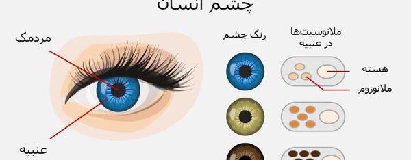 عکس رنگ چشم قهوه ای روشن