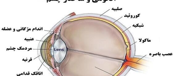 عکس چشم برای لیزیک