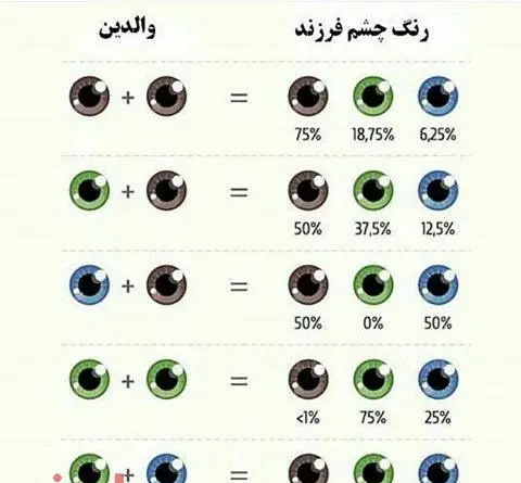 عکس از رنگ چشم میشی