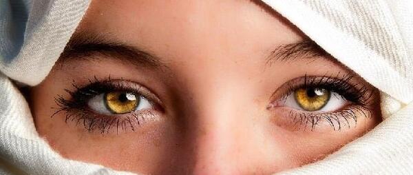 عکس از رنگ چشم میشی