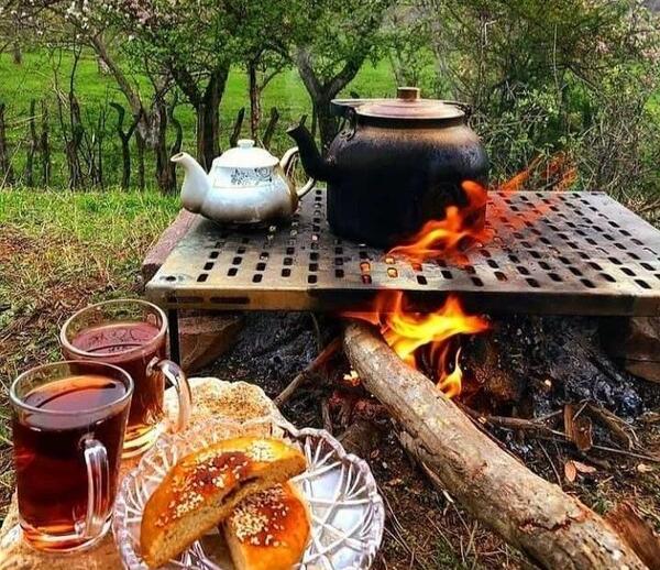 عکس چای سفید کوهی