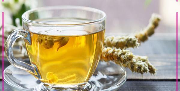 عکس چایی کوهی