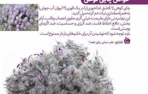 عکس چایی کوهی