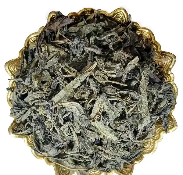عکس چایی کوهی