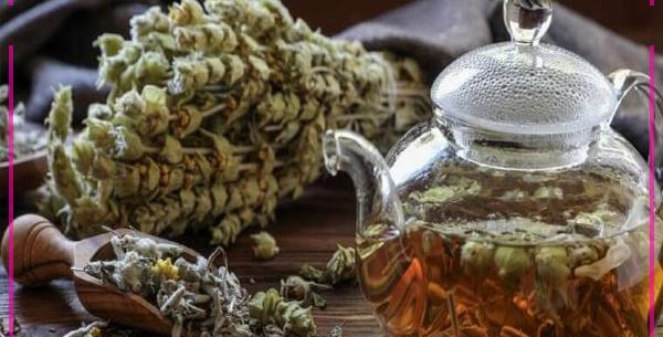 عکس چایی کوهی