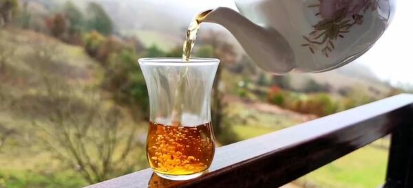 عکس چایی در طبیعت برای استوری