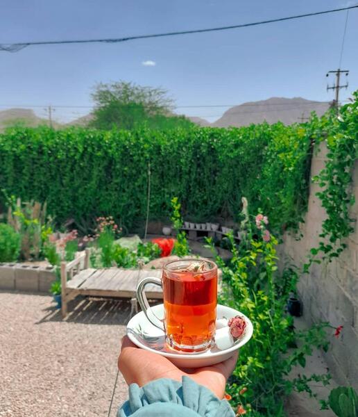 عکس چایی در طبیعت برای استوری