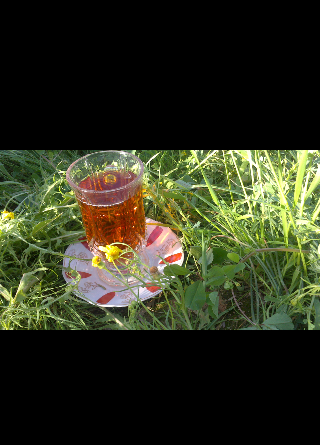عکس چایی در طبیعت برای استوری