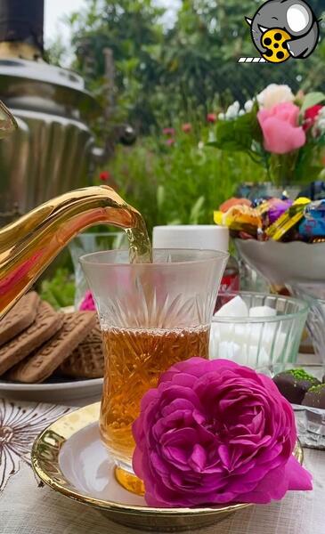 عکس چایی در طبیعت برای استوری