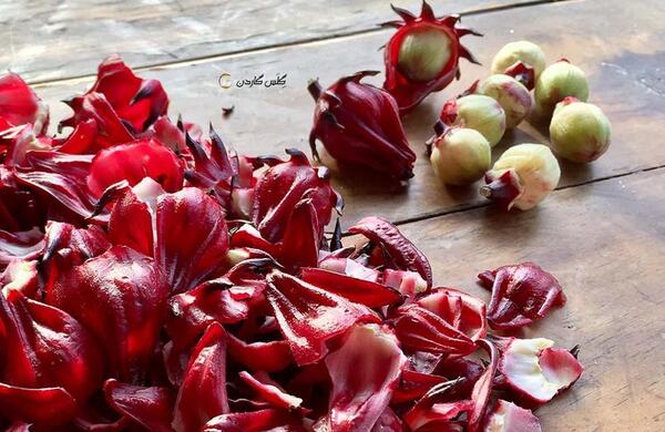 عکس چای ترش تازه