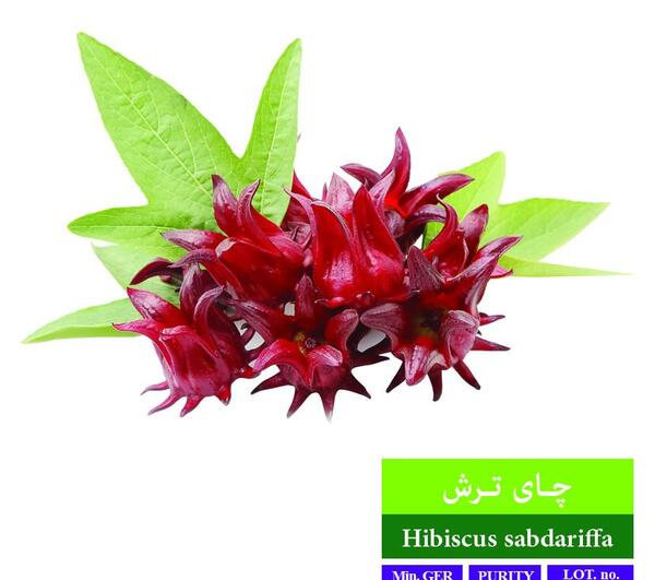 عکس گیاه چای ترش