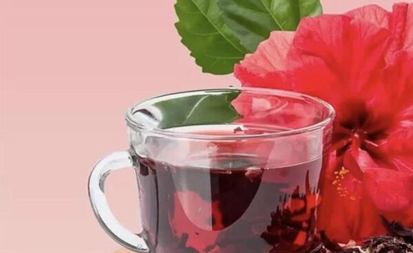عکس گیاه چای ترش