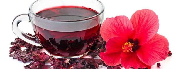 عکس گیاه چای ترش