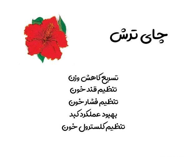 عکس دمنوش چای ترش