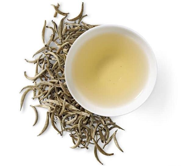عکس بوته چای سفید