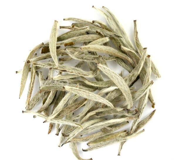 عکس بوته چای سفید