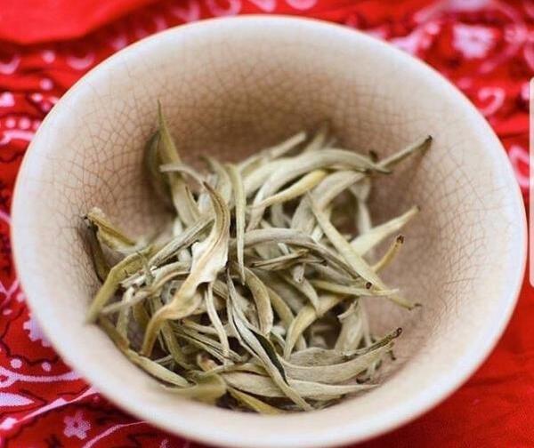 عکس بوته چای سفید